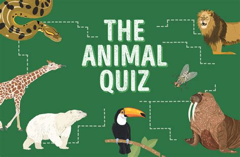 Animal Quiz